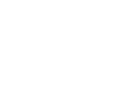 A11yGenius accessibility symbol