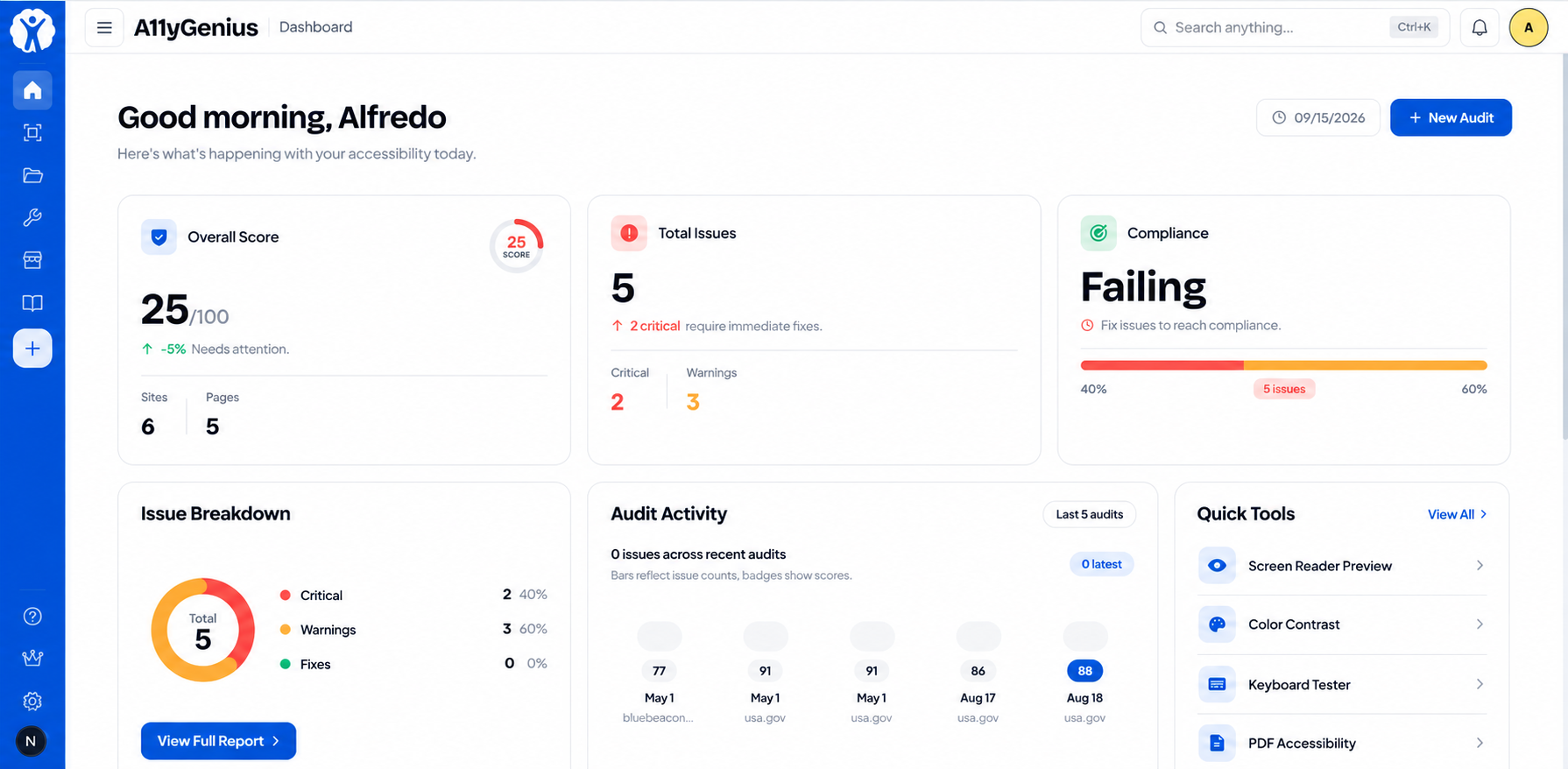 A11yGenius dashboard with audit results, issue categories, and review tools.